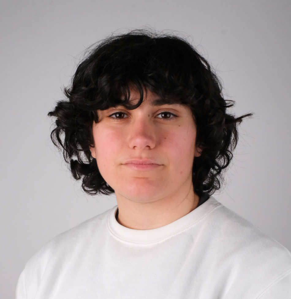 Descrizione immagine 1